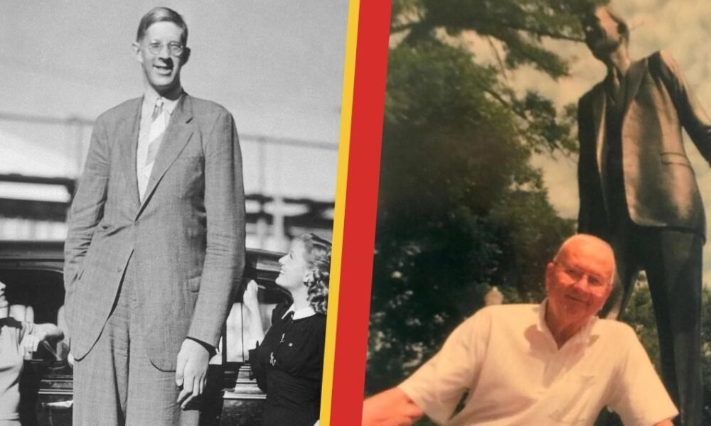 Harold Wadlow Jr