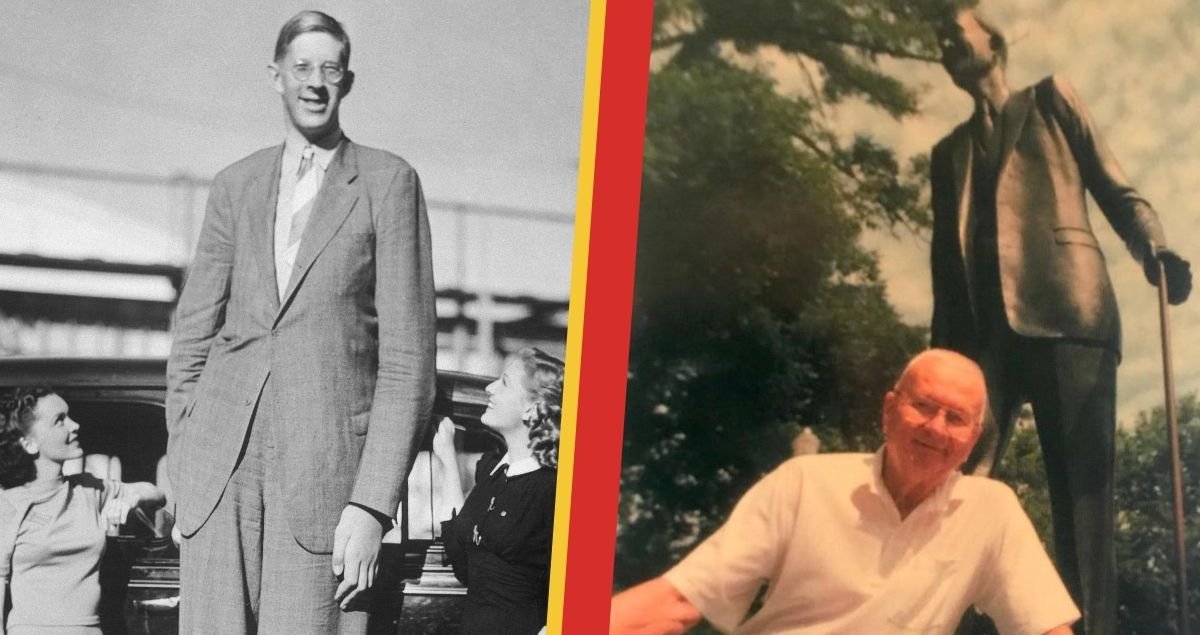 Harold Wadlow Jr