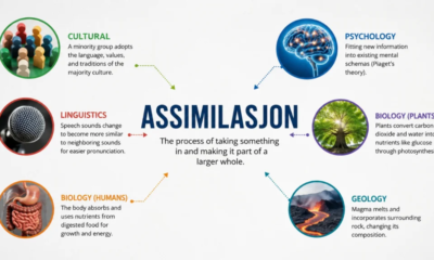 assimilasjon